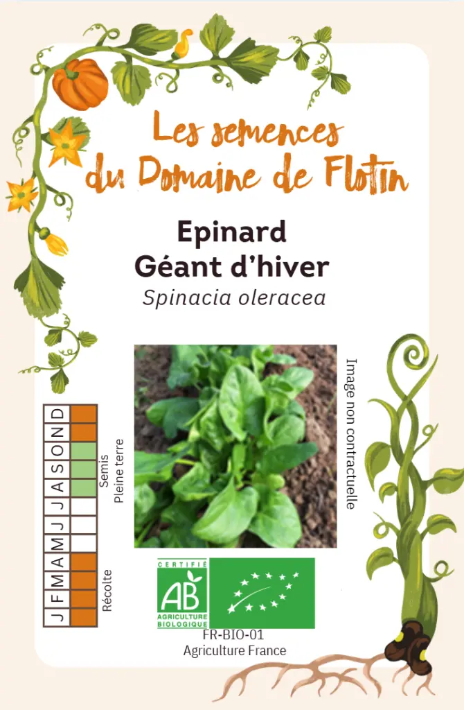 Capture d'écran 2026-02-02 100027.webp