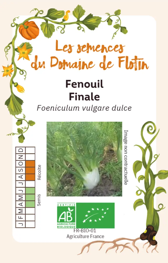 Capture d'écran 2026-02-02 100421.webp