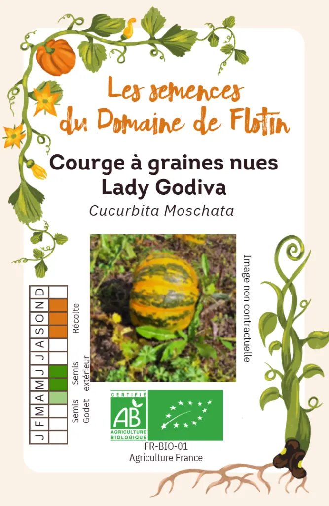 Capture d'écran 2026-02-02 100748.webp