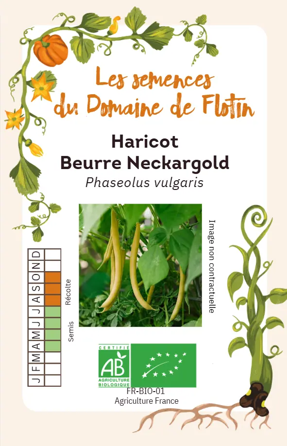 Capture d'écran 2026-02-02 101009.webp