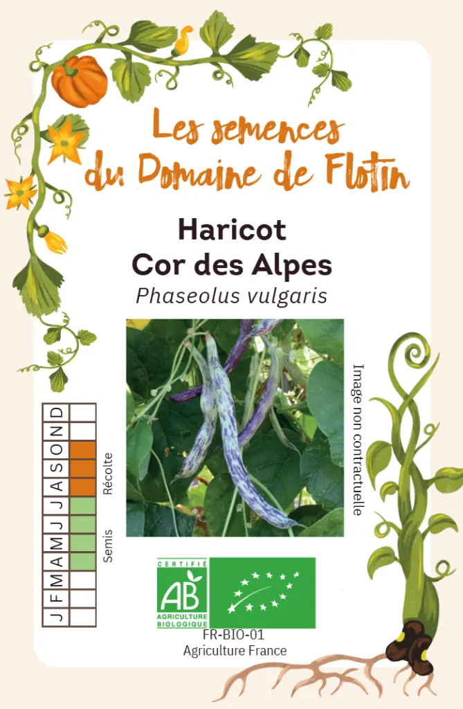 Capture d'écran 2026-02-02 101128.webp