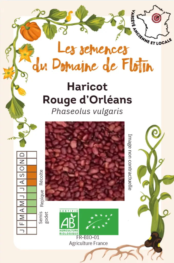 Capture d'écran 2026-02-02 101922.webp