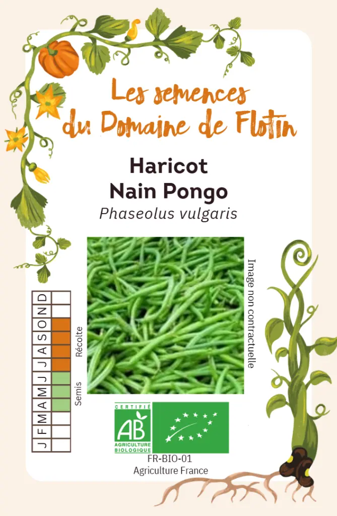 Capture d'écran 2026-02-02 102141.webp