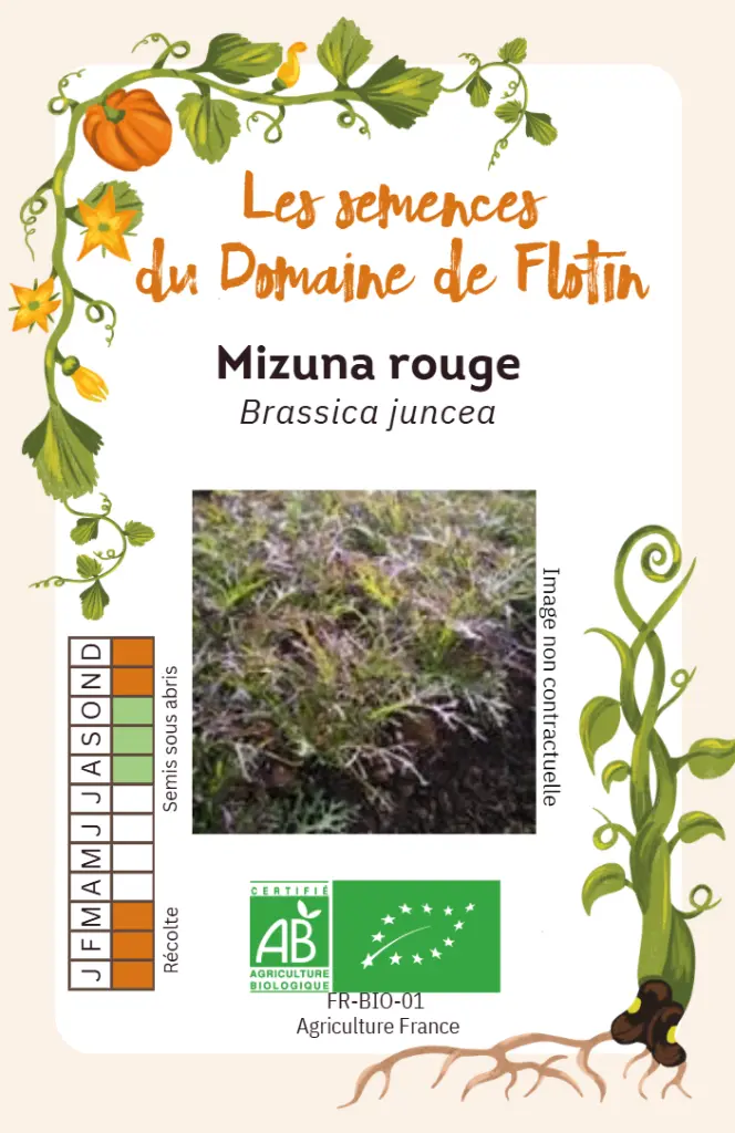 Capture d'écran 2026-02-02 102525.webp