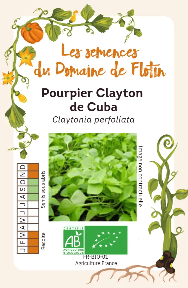 Capture d'écran 2026-02-02 102639.webp