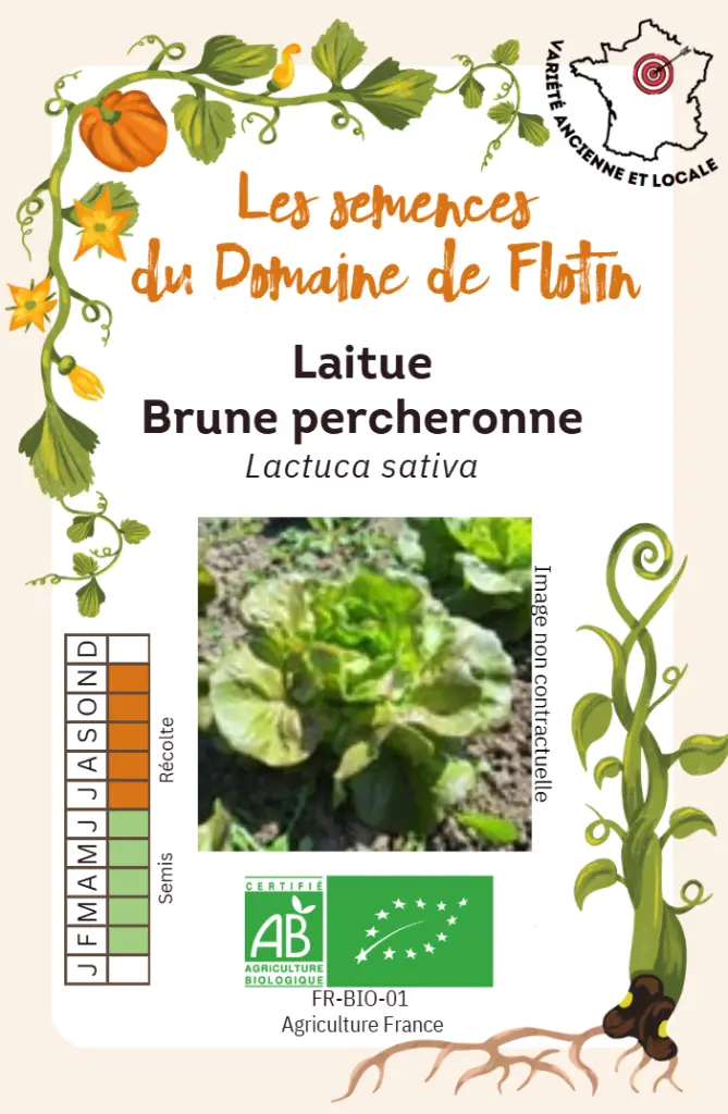 Capture d'écran 2026-02-02 102758.webp