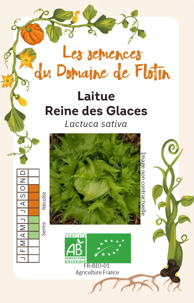 Capture d'écran 2026-02-02 103032.webp