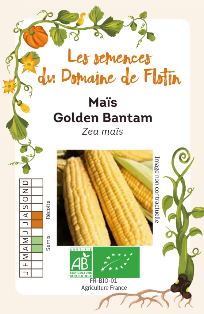 Capture d'écran 2026-02-02 103348.webp