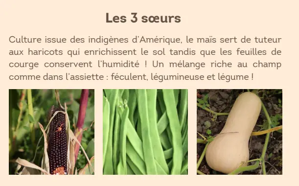 Capture d'écran 2026-02-17 173018.webp