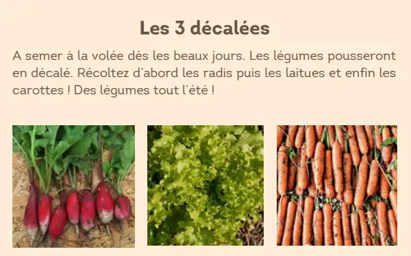 Capture d'écran 2026-02-17 173021.webp