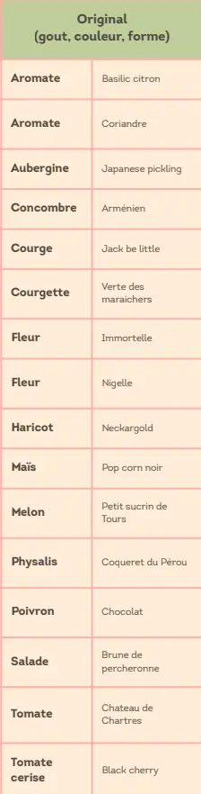 Capture d'écran 2026-02-17 185954.webp