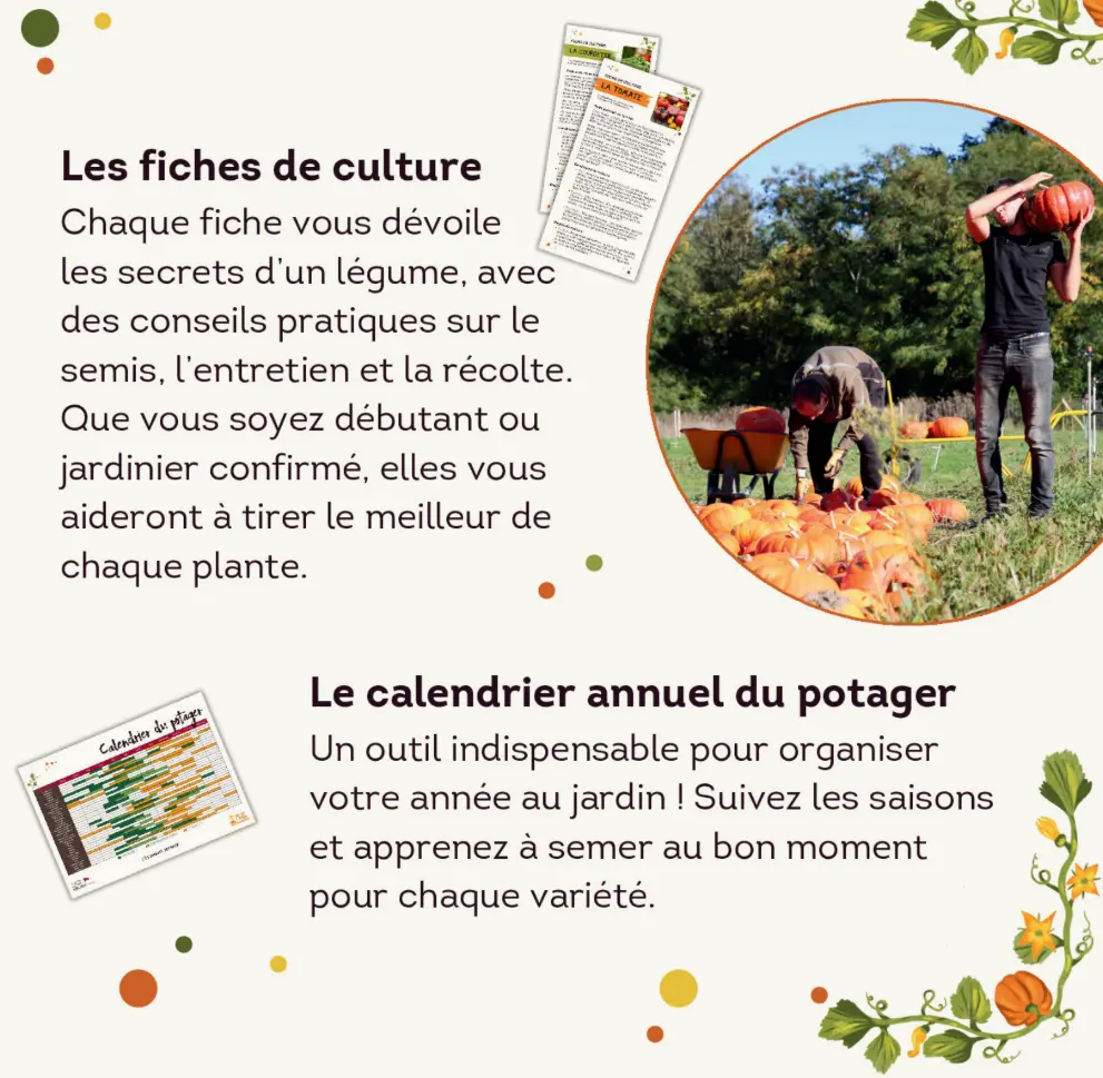 Capture d'écran 2026-02-17 191054.webp