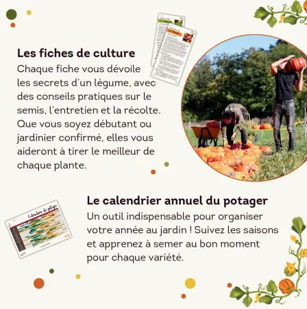 Capture d'écran 2025-11-08 064930.webp