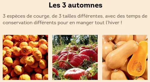 Capture d'écran 2025-12-17 070822.webp