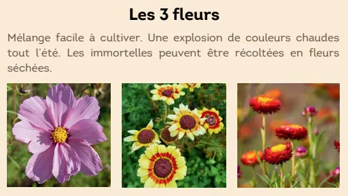 Capture d'écran 2025-12-17 070825.webp