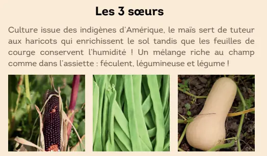 Capture d'écran 2025-12-17 070809.webp