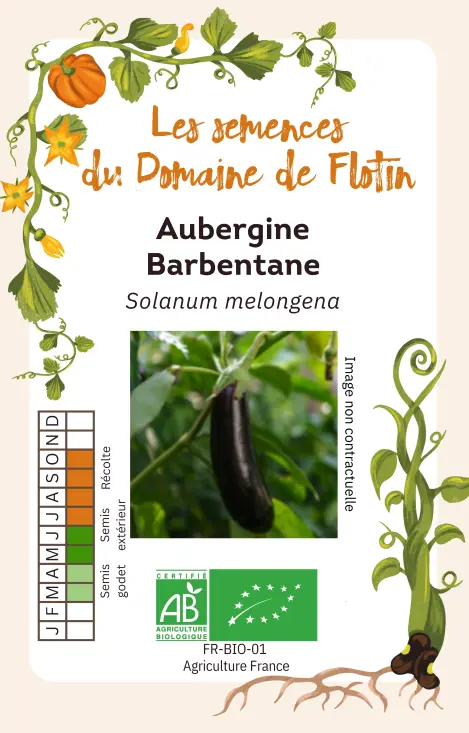 Capture d'écran 2026-01-03 084034.webp