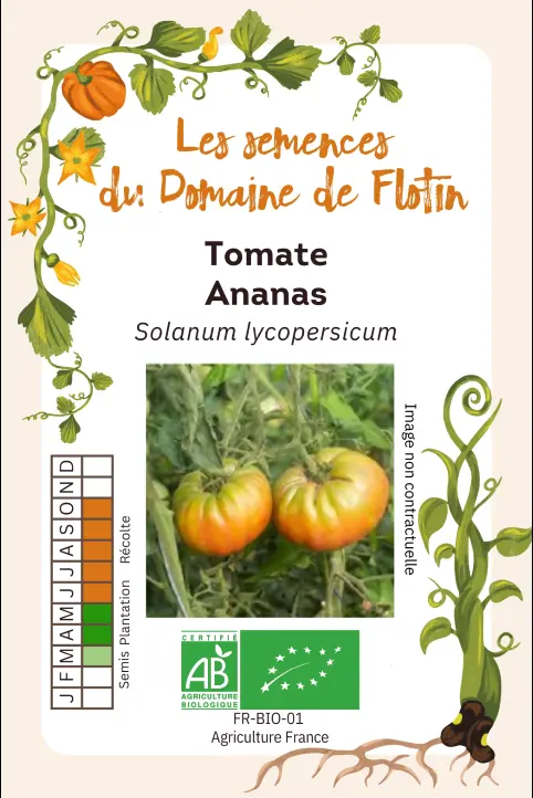 Capture d'écran 2026-01-03 085432.webp