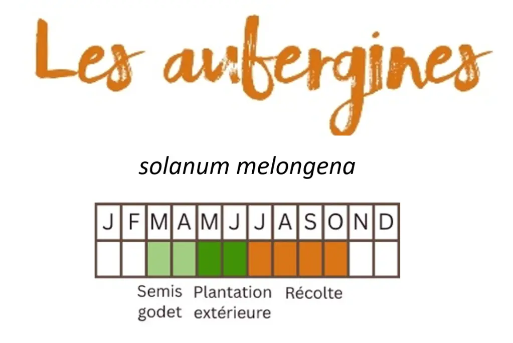 Capture d'écran 2026-01-03 083501.webp