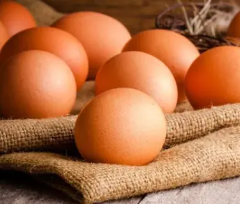 Oeufs x6 (commande ponctuelle)