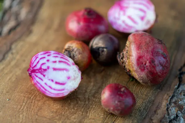 Betterave Chioggia (semences biologiques)