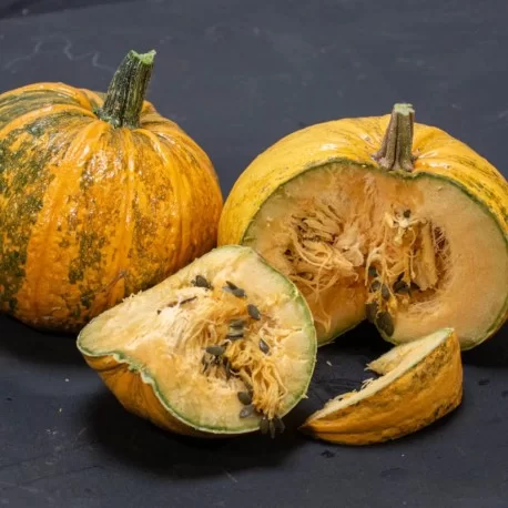 Graines comestibles Lady Godiva (semences biologiques)