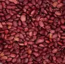 Haricot grain rouge Rouge d'Orléans (semences biologiques)