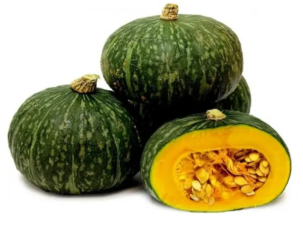 Courge Green Hokaido (semences biologiques)