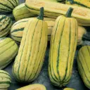 Courge Pepo Délicata (semences biologiques)