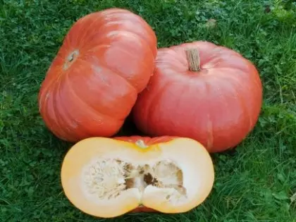 Courge rouge vif d'etampes (semences biologiques)
