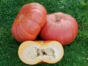 Courge rouge vif d'etampes (semences biologiques)