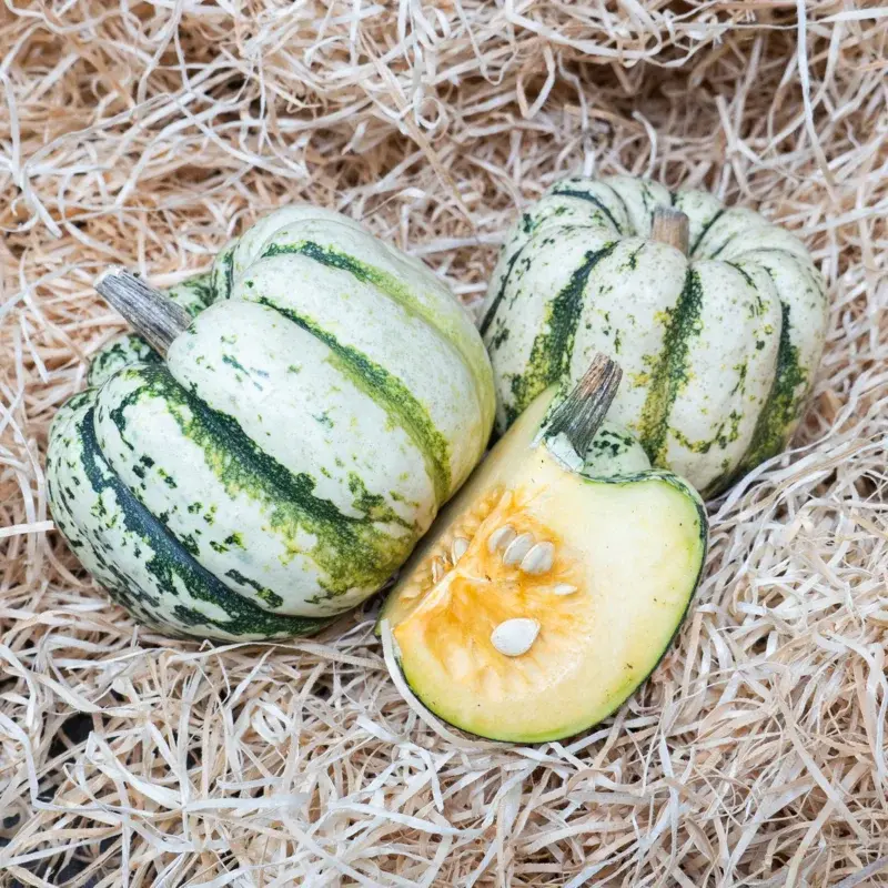 Courge Sweet dumpling (semences biologiques)