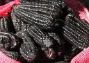 Maïs Popcorn Noir (semences biologiques)