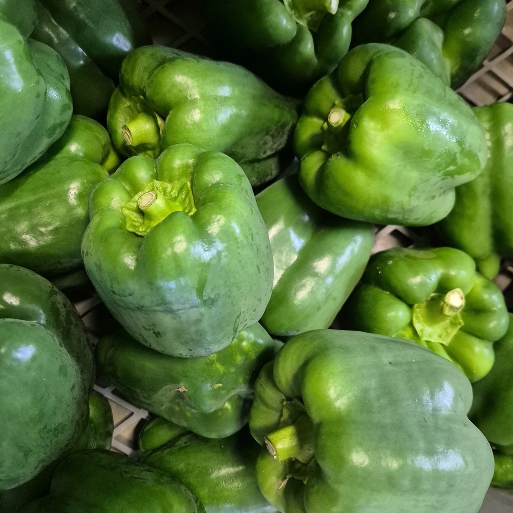 Poivrons verts