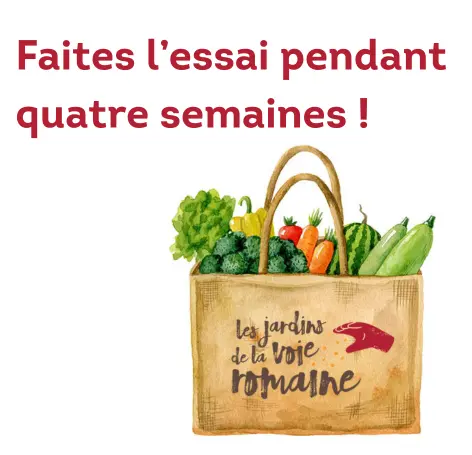 Abonnement d'essai pour 4 semaines (petit panier)