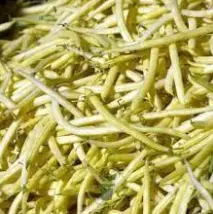 Haricot A rame vert Vitalis (semences biologiques)