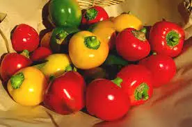 Poivron Di Caprigglio (semences biologiques)