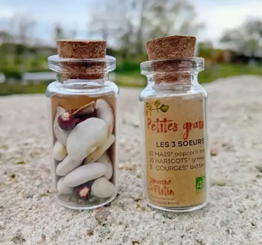 Pack revendeur - Les fioles de petites graines