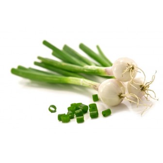 Oignon blanc (botte)