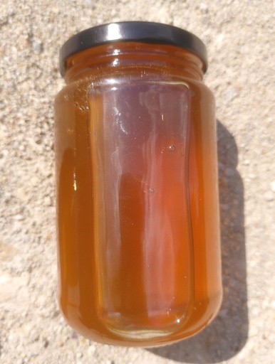 Miel forêt 500g
